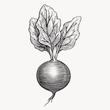 com.WellNourished.android