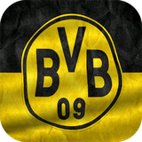 ir.ndesign_ir.dortmund_flag.lwp