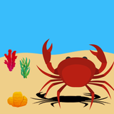 com.chc.crab