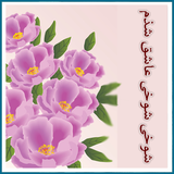 roman.irir.shokhishokhiasheghshodam