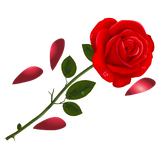 com.wastickerapps.flowersstickers