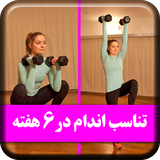 ir.fitapps.sixweeksfitness