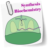 aplus.synthesisbiochemistry