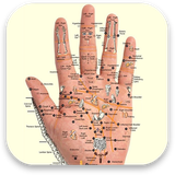 foodanddrink.inc.acupressurepointtips