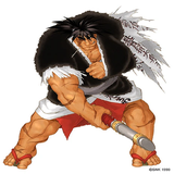 com.SandSprogrammingGroup.SamuraiShowdownWarriorsRage