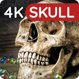 com.easy_wallpapers.skull