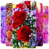 com.nima.pepeeer.valentine.apk03