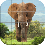 com.style.games.puzzle.wildanimals