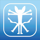 com.kpilead.indigokids