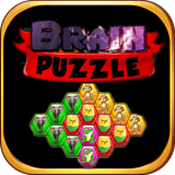 com.saleem.brainpuzzle