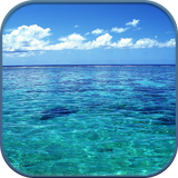 com.foreverwallpaper.oceanLivewallpaper