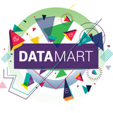 com.datamartwebapp
