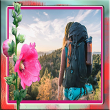 sekandari.apppishnahad.gardeshgari