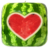 com.koolio.watermelonprober