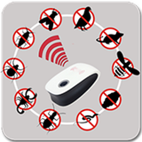 com.developer.beetlekill