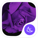 com.apusapps.theme.i_purple_flower_4e40c727b0