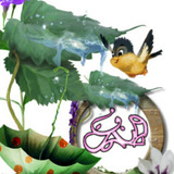 com.harchi.apk
