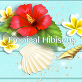 jp.co.a_tm.android.plus_tropical_hibiscus