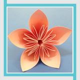 com.OrigamiIdeasAndInstructions.EEProduction