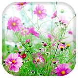 com.androidwasabi.livewallpaper.sweetflowers