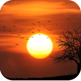 com.sunset.backgrounds.sunsetwallpaper