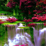 com.dakshapps.waterfallflowers