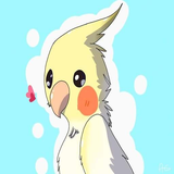 com.caio_carlosroyale1.amanssarcalopsita