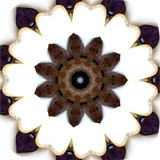 air.com.aemtintuitive.mandalas