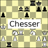 com.game.chesser