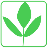 com.patrikat.medicinal.plants.herbs.remedies