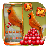 simila.cardinal.bird.launcher