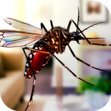 com.playmechanics.mosquitohomesimulator3d