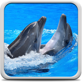 com.DolphinsLiveWallpaperHDHQ