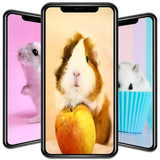 com.nicehdapps.cute.hamster.wallpaper