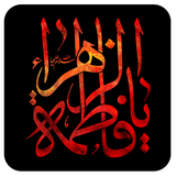 shamimsoft.fatemi