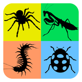 air.com.IMstudio.insectipadfree