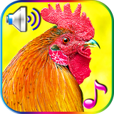 com.niceringtonesapps.funnyalarm