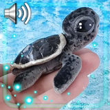 com.godsproslw.turtlesbabylivewallpaper