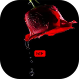 com.newappss.flowerrose