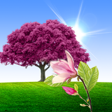 com.blackbirdwallpapers.sakuralivewallpaperfree