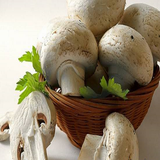 com.faghragha.soft.gharch