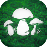 com.dreamforestgames.mushroom