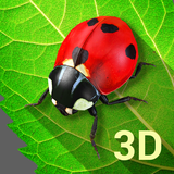 com.kisionlab.bugslife3d.free