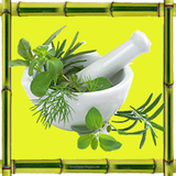 ir.araghiat.sall