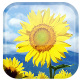 com.androidwasabi.livewallpaper.sunflower