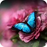 com.cyou.cma.clauncher.theme.v53f72b95ef67c83448034222