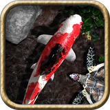 com.johnmoff.PocketPond2