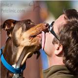 com.moshtarak.beynensanvaheyvan