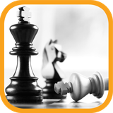 ir.tinasoft.chess_basics