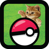 com.storystudio.pocketkittengo